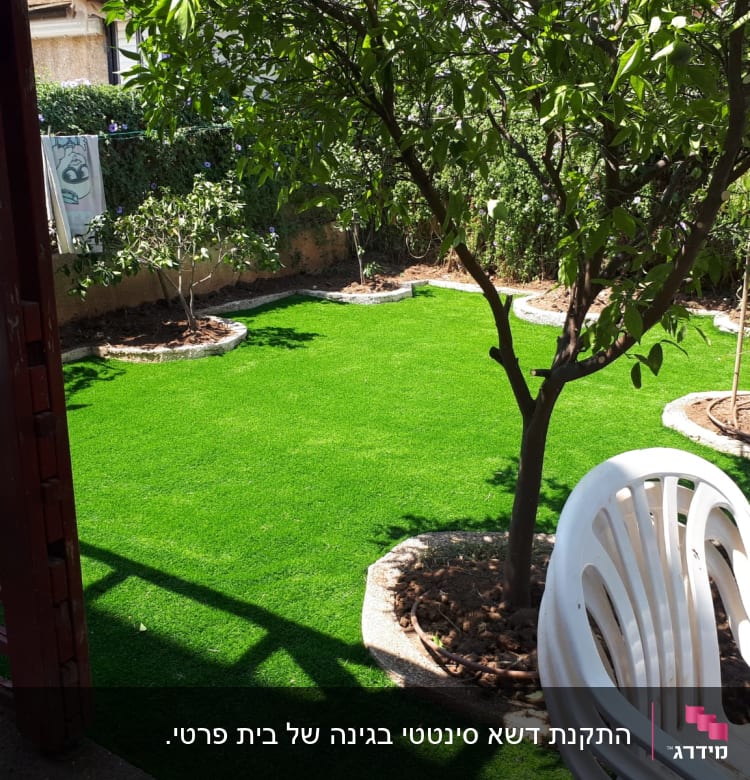 דשא ירוק ועצים קטנים בגינה מטופחת